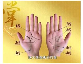 手的秘密——掌心的八卦图