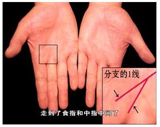手的秘密——掌心的八卦图