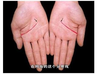 手的秘密——掌心的八卦图