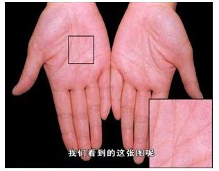 手的秘密——掌心的八卦图