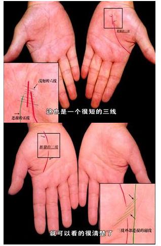手的秘密——掌心的八卦图