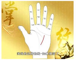 手的秘密——掌心的八卦图