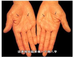 手的秘密——掌心的八卦图