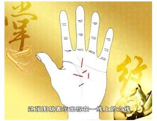 手的秘密——掌心的八卦图