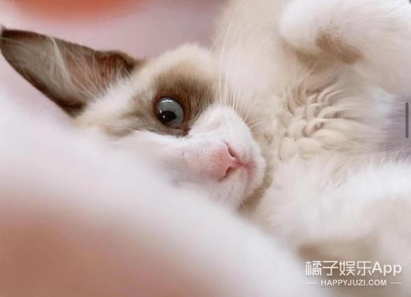 还记得《艺伎回忆录》的小千代吗？真是女大十八变啊