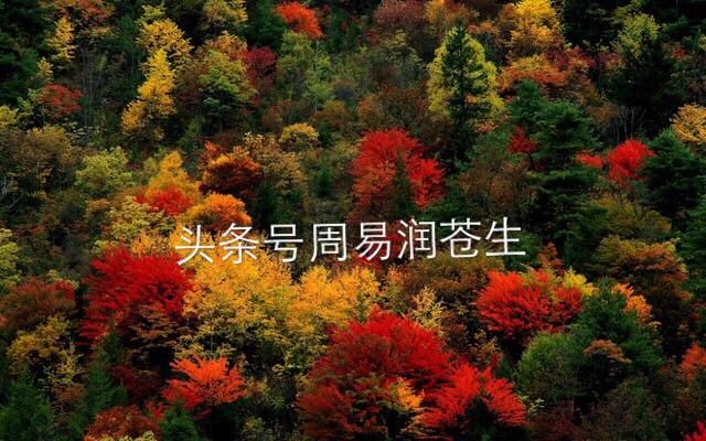 民间八字看婚姻百步穿杨口诀