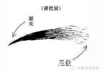 由眉识姻缘，好眉好运