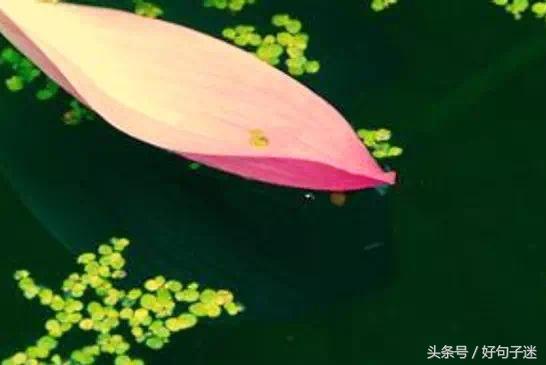一位89岁的@￥先生总结出的心灵鸡汤，句句硬道理，建议收藏！