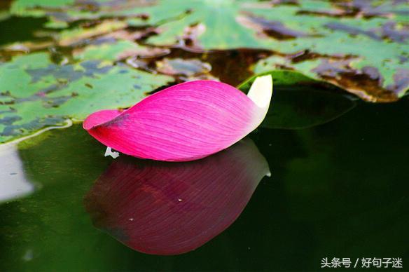 一位89岁的@￥先生总结出的心灵鸡汤，句句硬道理，建议收藏！