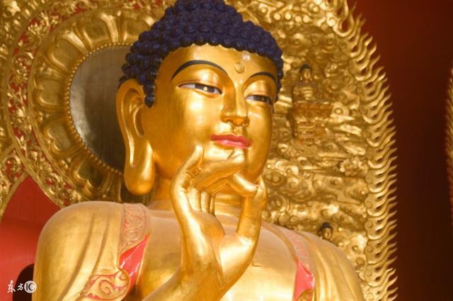 论运气；有些人运气很差，是福祸是相对的？还是前世造了太多的孽