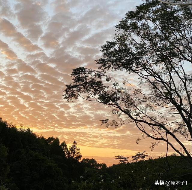 跟母亲的缘分，怎么会有一生一世