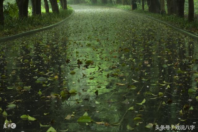 细论八字命理中的壬癸水（揭示壬癸水日主的成才、富贵因素）