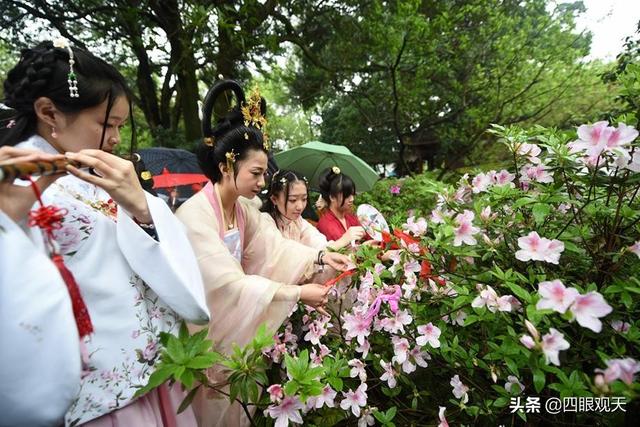 冷眼看红楼：四月二十六到底是指什么？遮天大王又是谁？