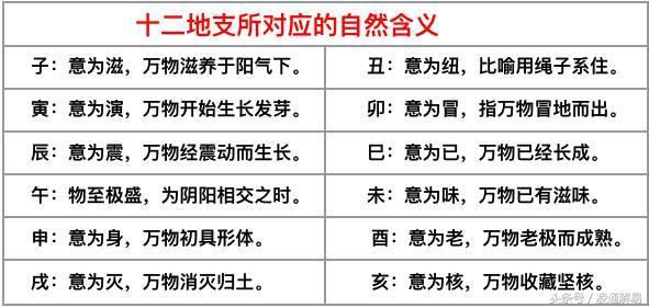 四柱八字乙木命