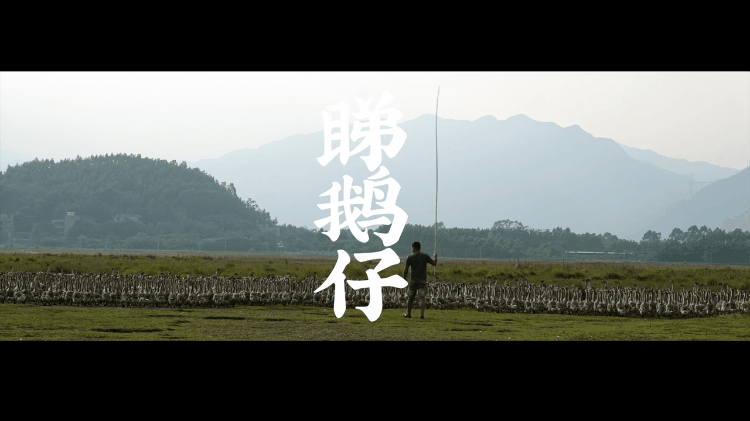 1985年9月6日八字精批 1985年9月6日八字精批