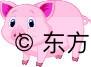 2022年属猪人的全年运势女性