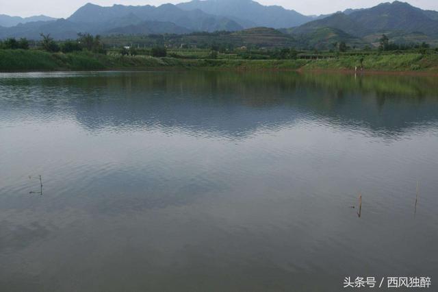 四柱八字天地一气