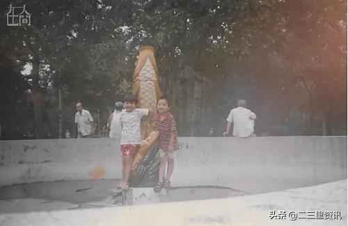 五颗松免费算命网