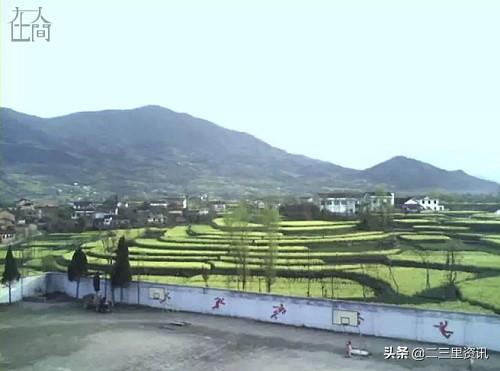 五颗松免费算命网