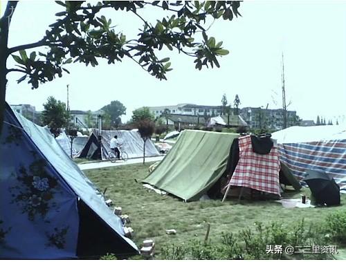 五颗松免费算命网