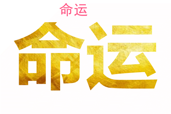甲木日元坐午八字实例外详批