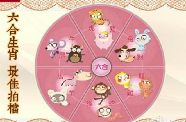 八字紫微免费终身运程详批
